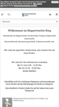 Mobile Screenshot of magnetventile-king.de